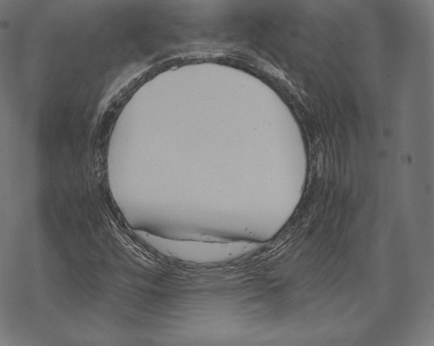 X0000067831448200605111605