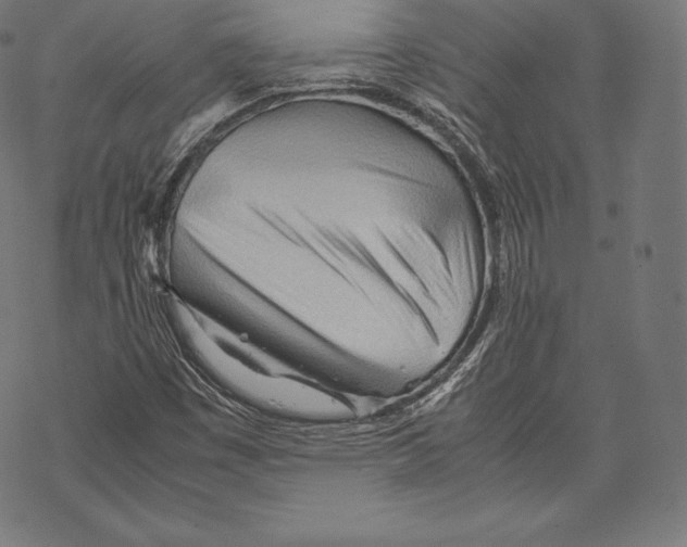 X0000067831449200605111605