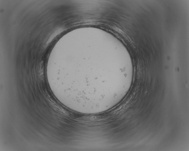 X0000067831450200605111605