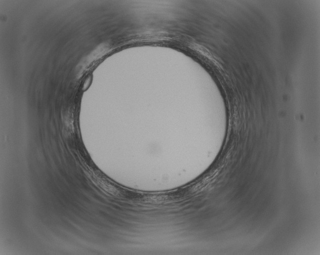 X0000067831451200605111605