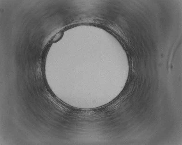 X0000067831452200605111605