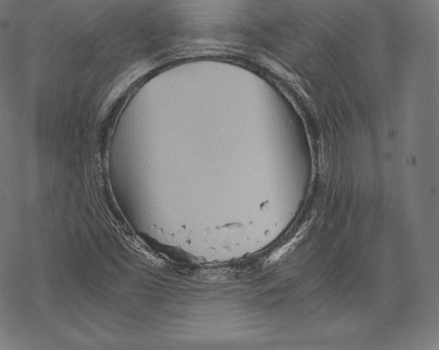 X0000067831453200605111605