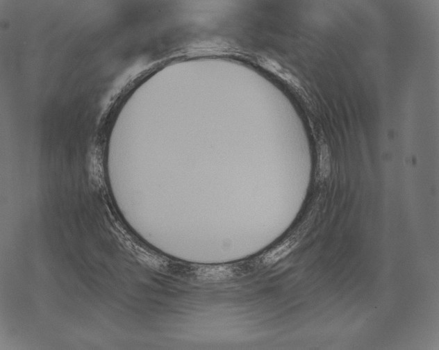 X0000067831454200605111605