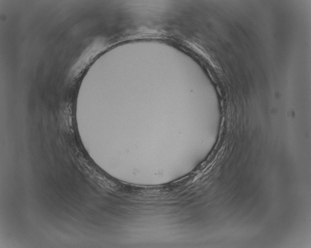 X0000067831455200605111605