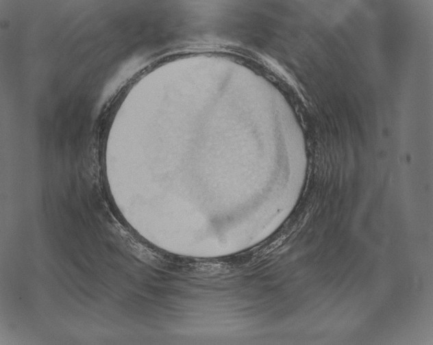 X0000067831456200605111605