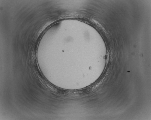 X0000067831457200605111605