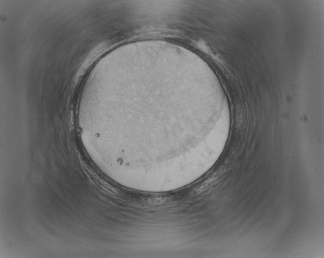 X0000067831459200605111605