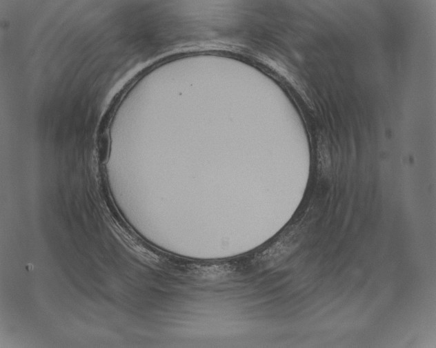 X0000067831460200605111605