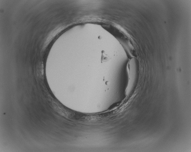 X0000067831461200605111605