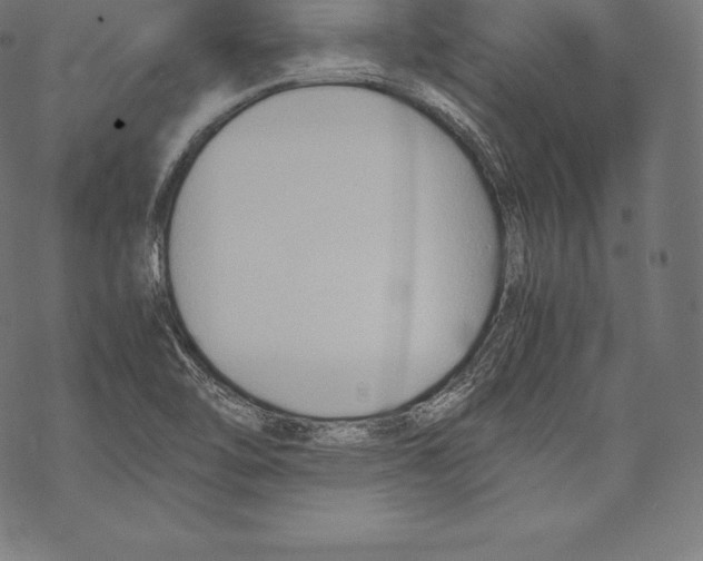 X0000067831462200605111605