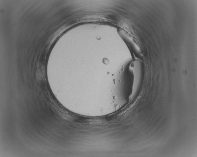 X0000067831465200605111604