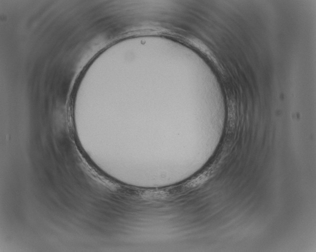 X0000067831466200605111604