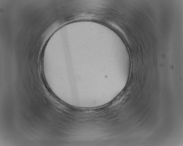 X0000067831467200605111604