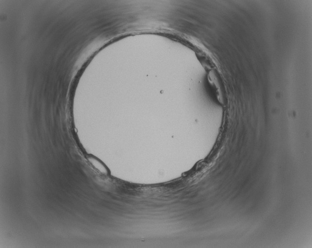 X0000067831469200605111604