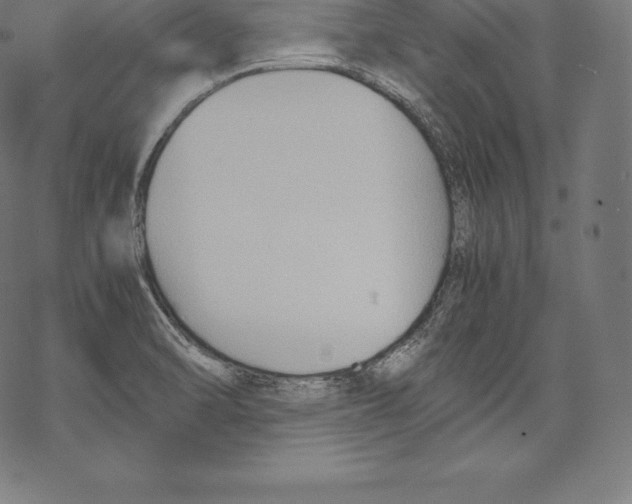 X0000067831470200605111604