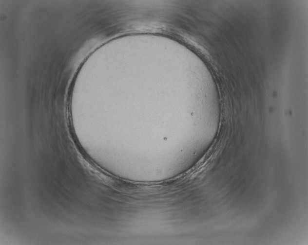 X0000067831471200605111604