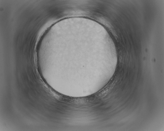 X0000067831472200605111604