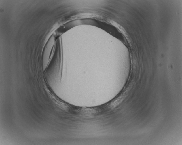 X0000067831473200605111604