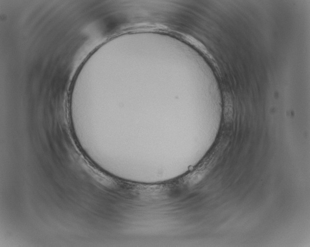 X0000067831474200605111604