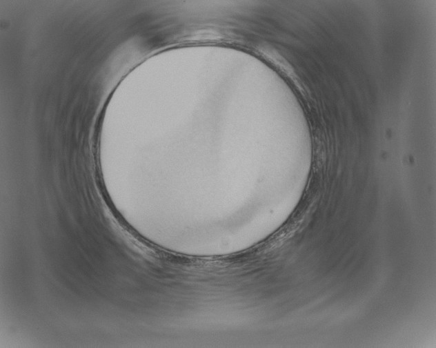 X0000067831475200605111604