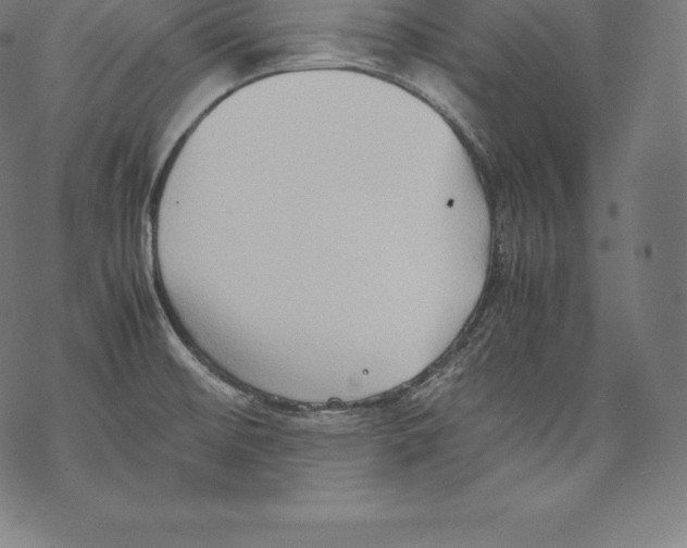 X0000067831476200605111604