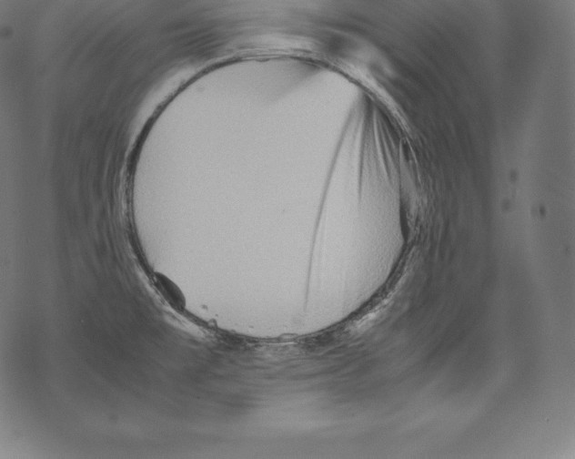 X0000067831477200605111604