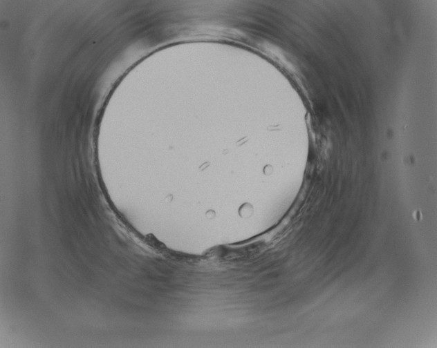 X0000067831480200605111604