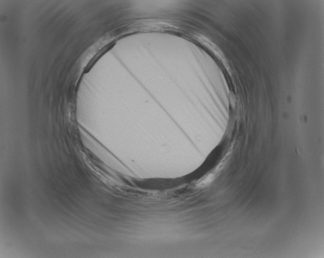 X0000067831481200605111604