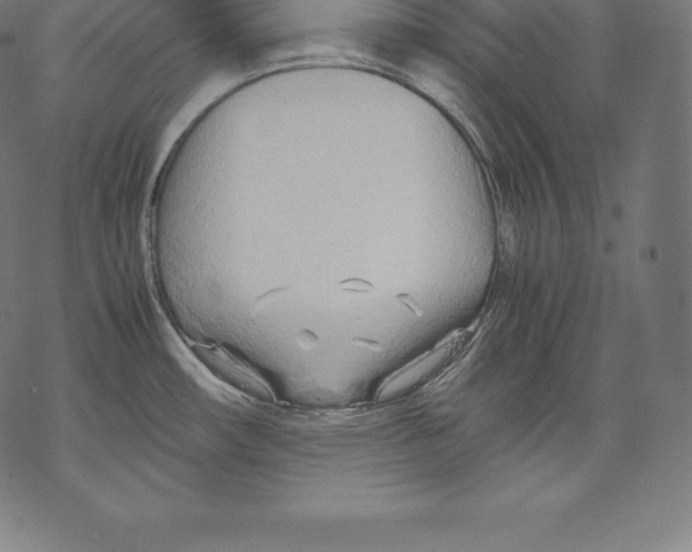 X0000067831482200605111604