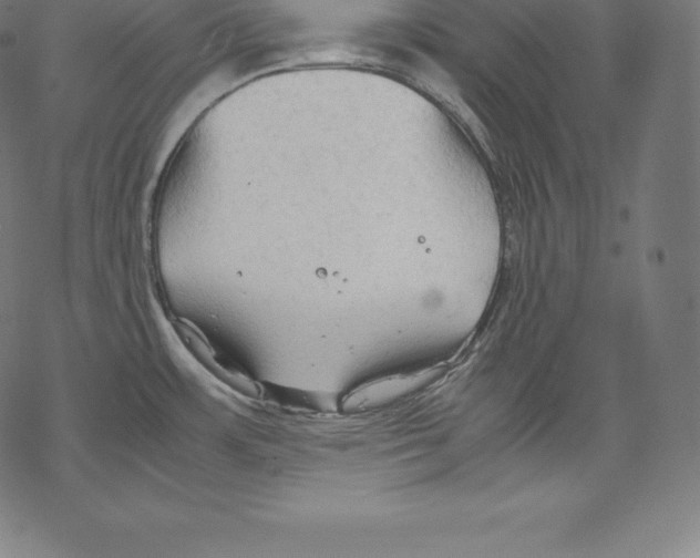 X0000067831483200605111604