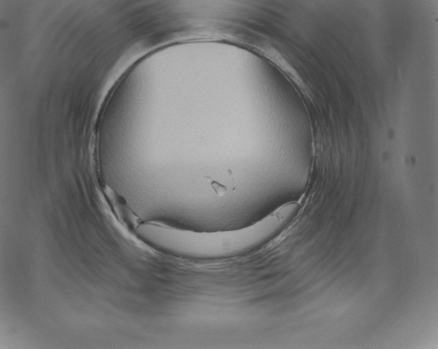 X0000067831484200605111604