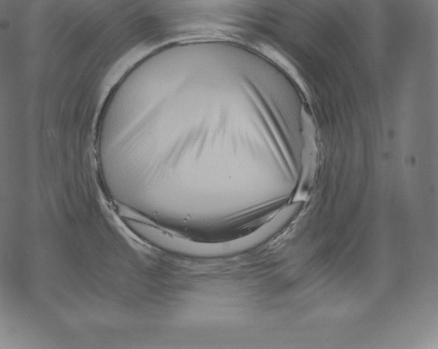 X0000067831485200605111604