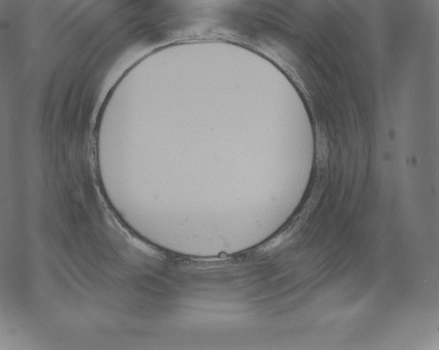 X0000067831486200605111604