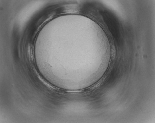 X0000067831487200605111604