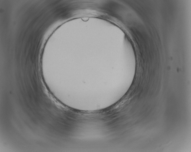 X0000067831488200605111604