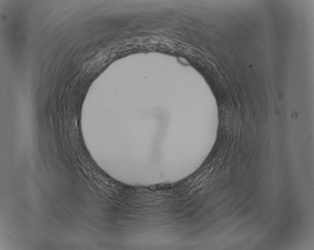 X0000067831489200605111603