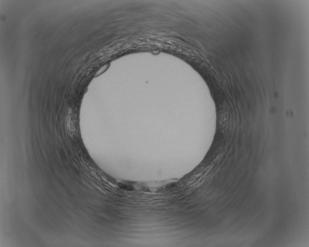 X0000067831490200605111603