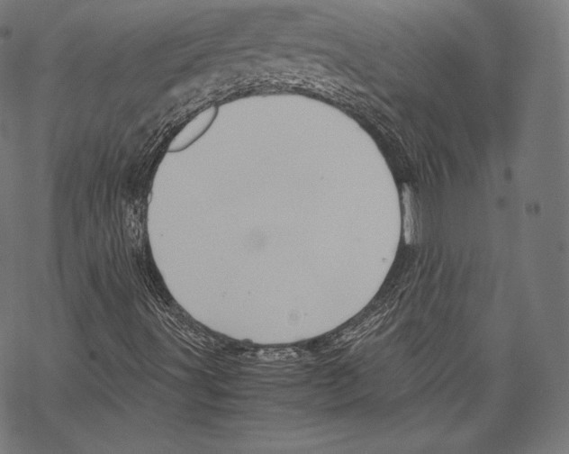 X0000067831491200605111603