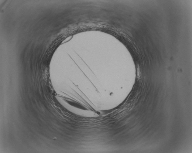 X0000067831492200605111603