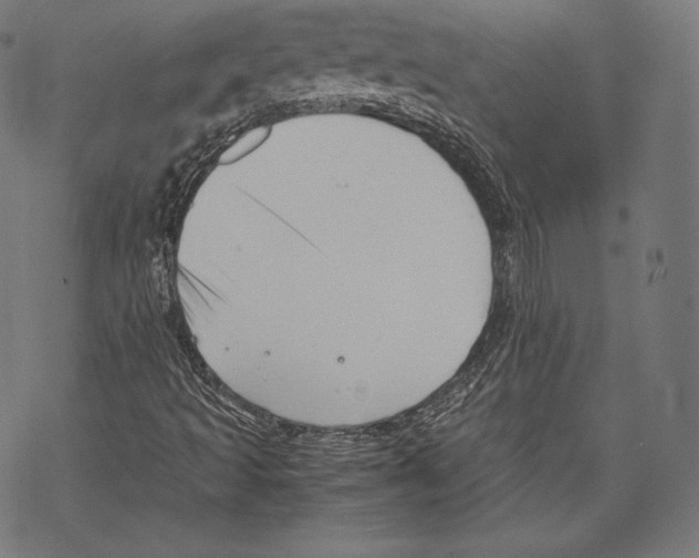 X0000067831493200605111603