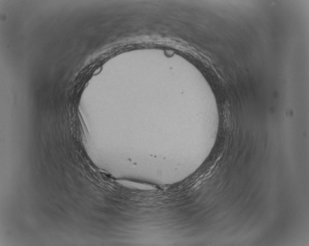 X0000067831494200605111603