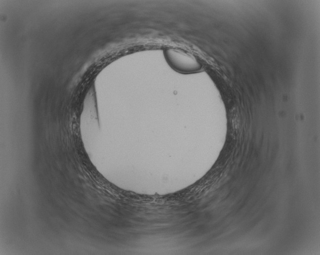 X0000067831495200605111603