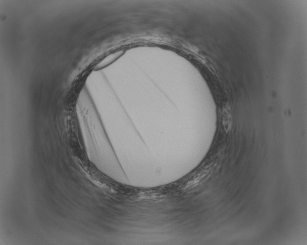 X0000067831496200605111603