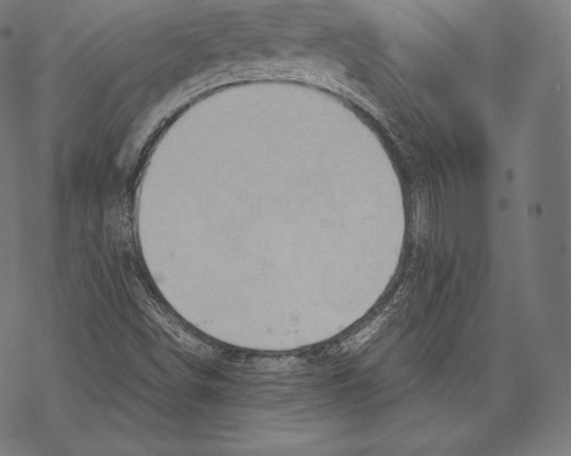 X0000067831498200605111603