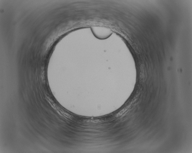 X0000067831499200605111603