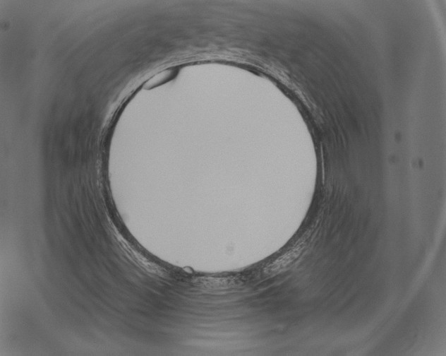 X0000067831500200605111603