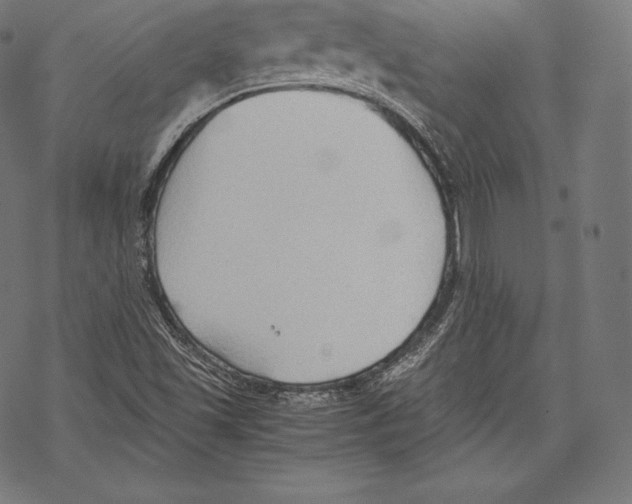 X0000067831501200605111603