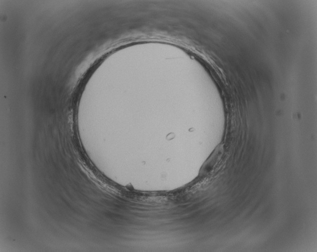 X0000067831503200605111603