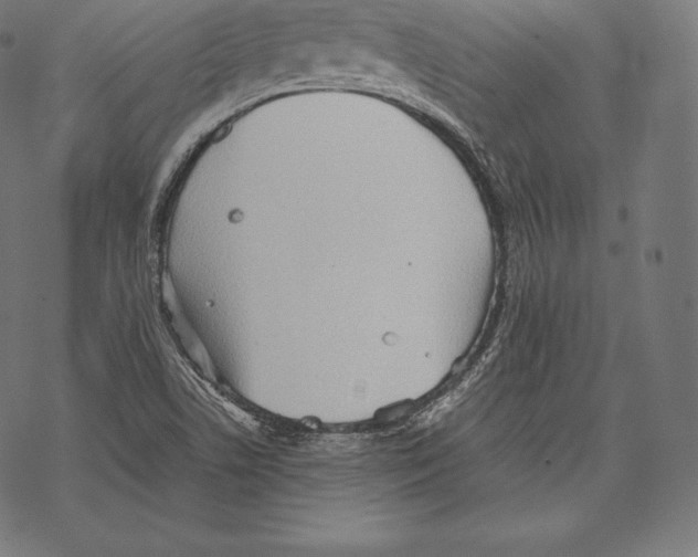 X0000067831506200605111604