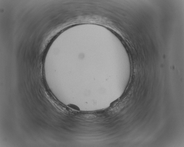 X0000067831507200605111604